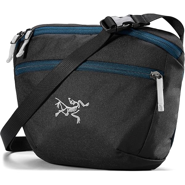 Amazon | [アークテリクス] ARCTERYX マンティス2ウエストパック